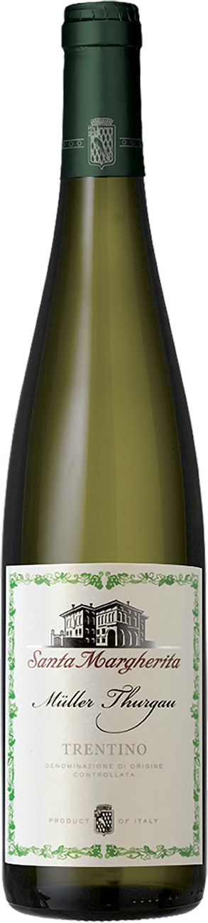 Müller Thurgau Trentino DOC