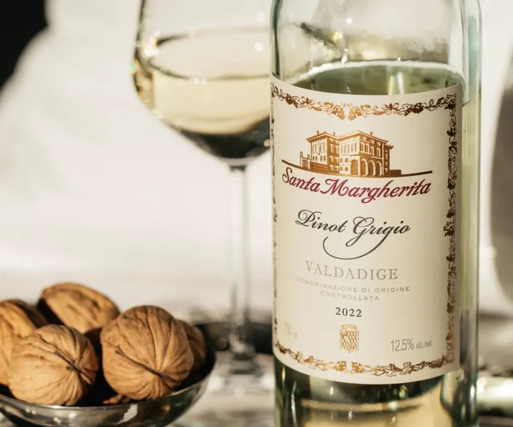 La storia del Pinot Grigio: origine del vitigno e caratteristiche