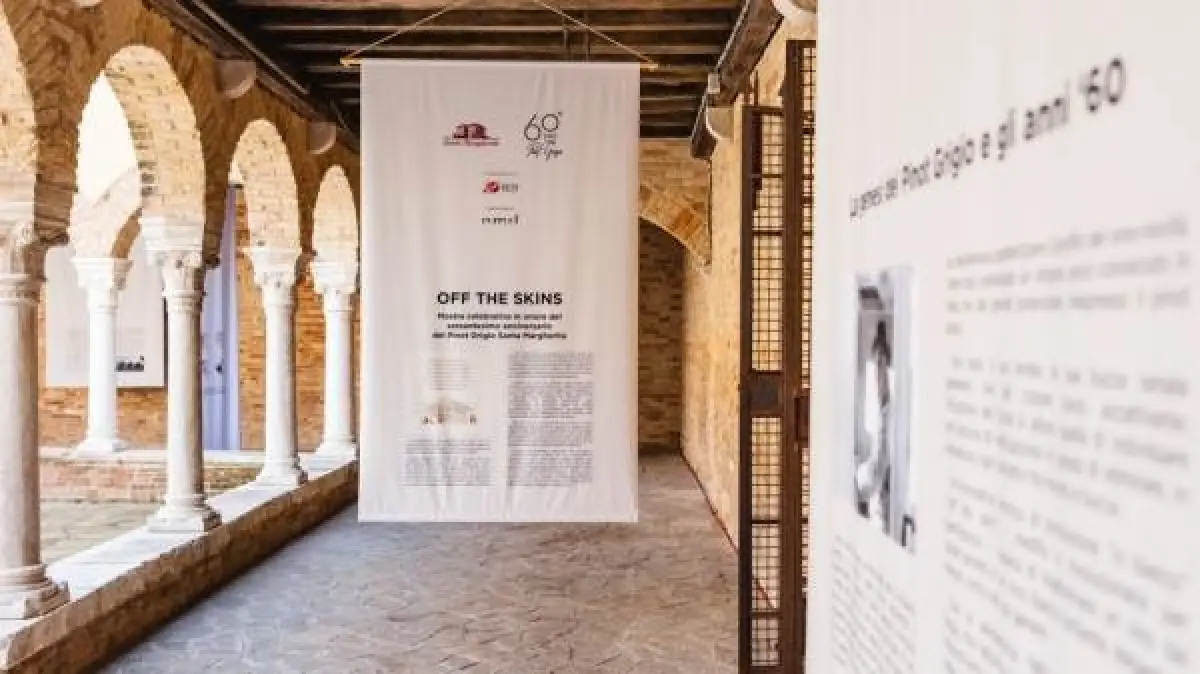 “Off the Skins”, la mostra celebrativa in onore del sessantesimo anniversario del Pinot Grigio Santa Margherita apre le porte ai visitatori a Venezia