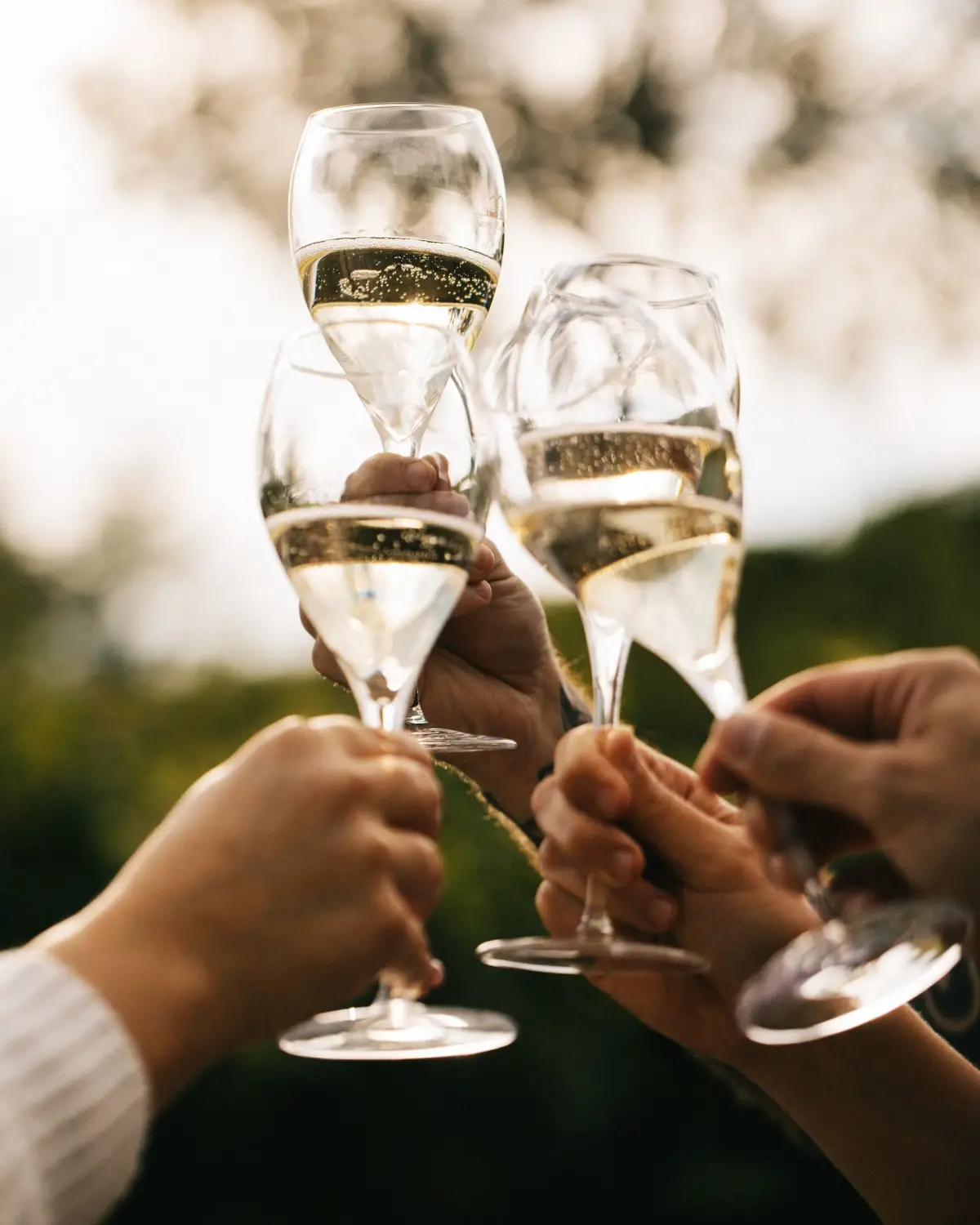 Qual è il miglior Prosecco e dove si produce
