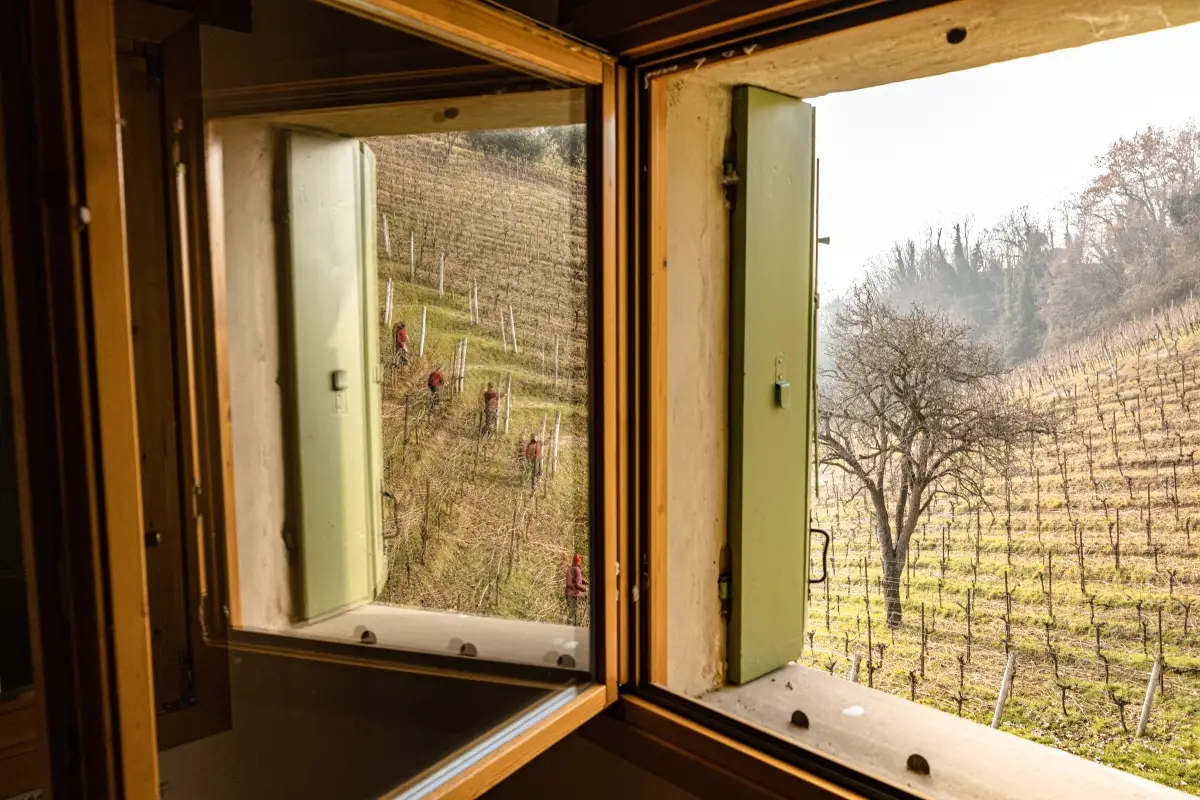 Refrontolo: 8 cose da vedere e da fare
